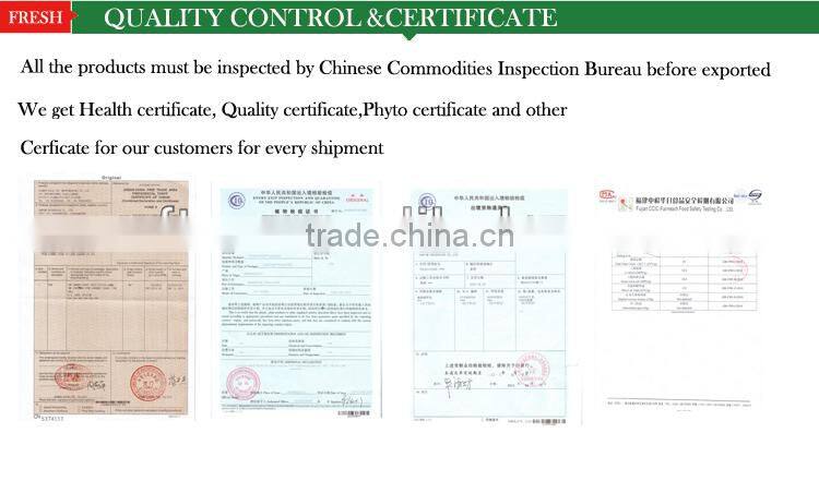 canned mackerel in vegetable oil