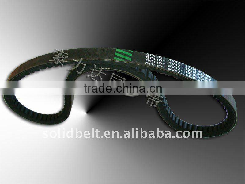 T-cogged belt/raw edge v belt/high quality/cheap price