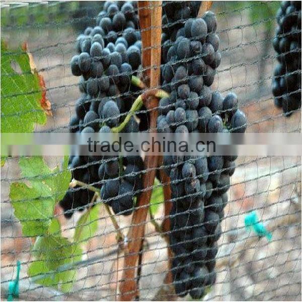 Farm bird preventing net