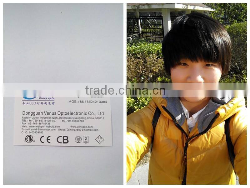 dongguan LED Christmas Light led holiday light C7 E12 0.35w/0.5w