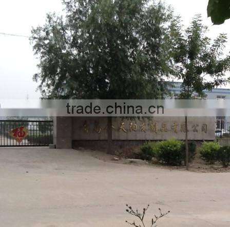 Wholesale alibaba Hairdressing mannequin head with hair, hairdressing training heads, beauty school mennequin heads