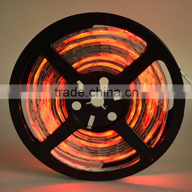 New Arrival Waterproof PU 3528 RGB SMD Led Strip 54LED/Meter RGB Lamps 12V Waterproof IP65 Led Strip Lighting CE/RoHs New