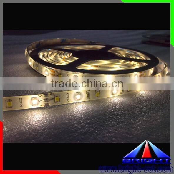 China Wholesales 60leds/m 14.4w CCT Adjustable Flex LED Strip 2835