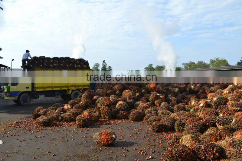 2016 new technology palm oil mill machinery