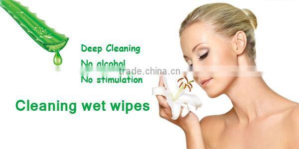 private logo OEM factory individual hand cleaning restaurant wet wipe