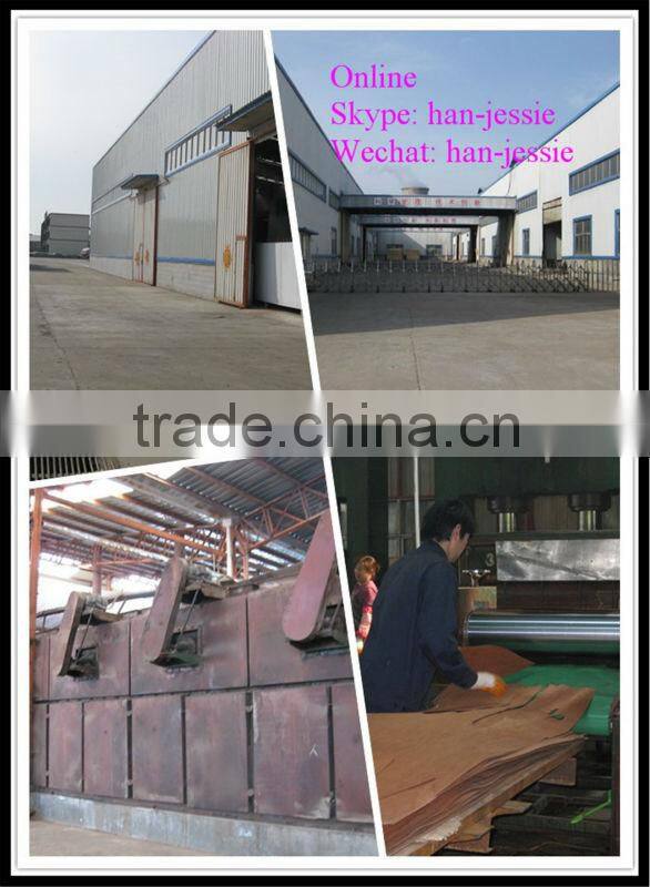 gurjan face veneer recon veneers keuring veneer