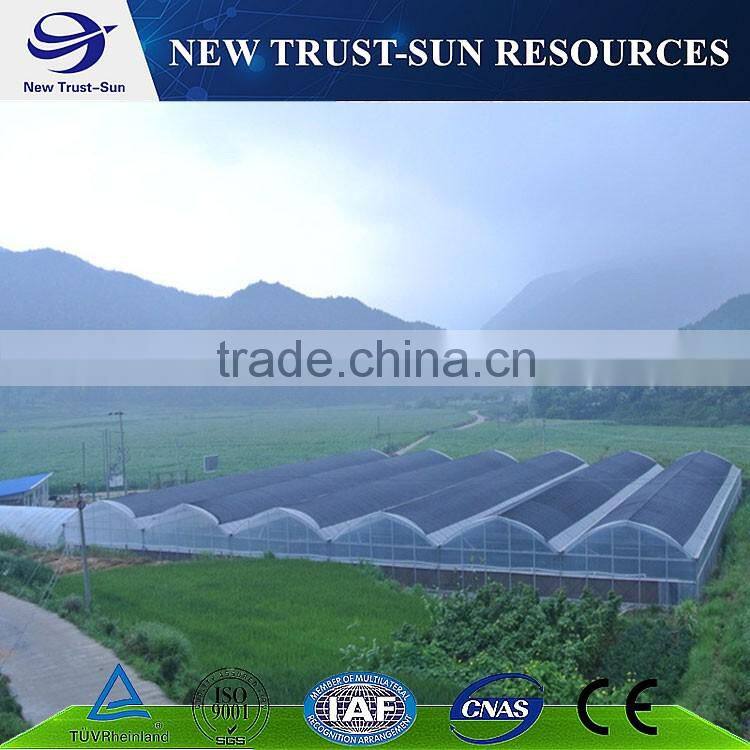Low cost muti-span PVC/PE/Plastic greenhouse for flower/vegetable growing