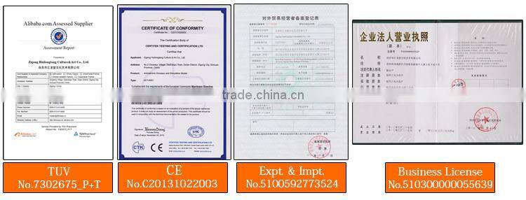 Animatronic rocking dinosaur kids