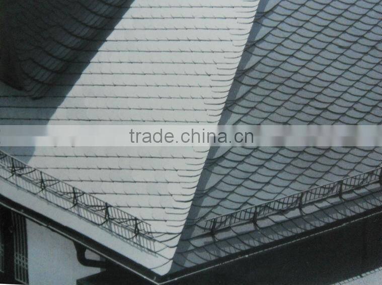 natural transparent plates for tile roofs