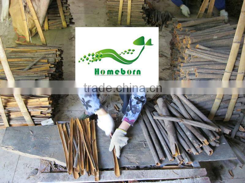 Cassia split (crop 2014) for hot sale