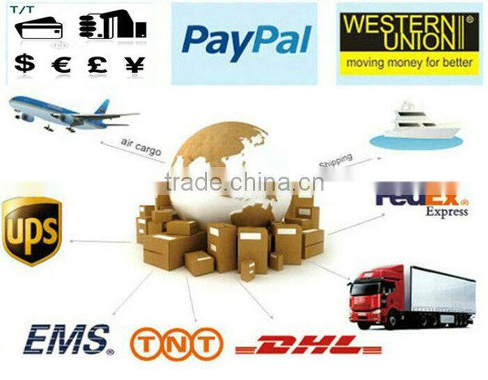 Factory Supply Led License Plate Lamp For BMW E82 E88 E90 E90N E91 E92 E93 M3 E46 CSL Led License Plate Light