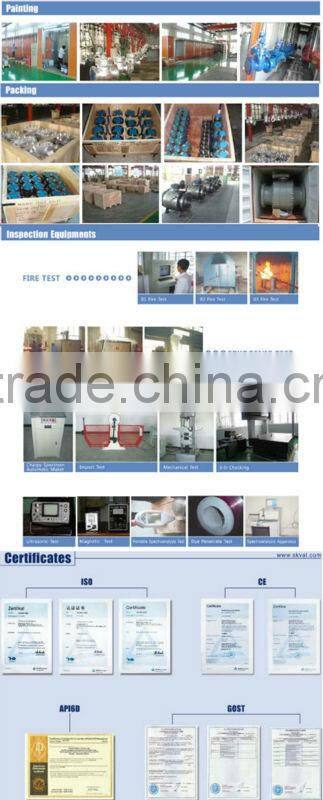 150lb flanged carbon steel stainless steel duplex Y Strainer