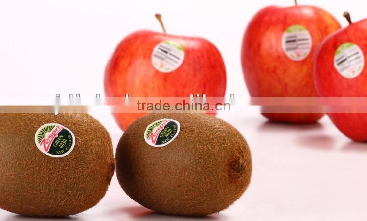 self adhesive roll label PP for food