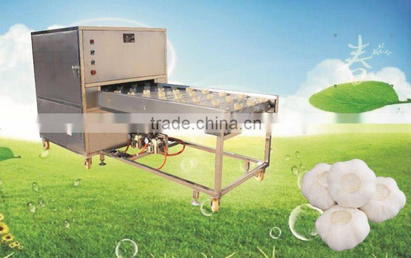 garlic root cutting/garlic cutting machine/garlic end cutter/root concave cutting machine