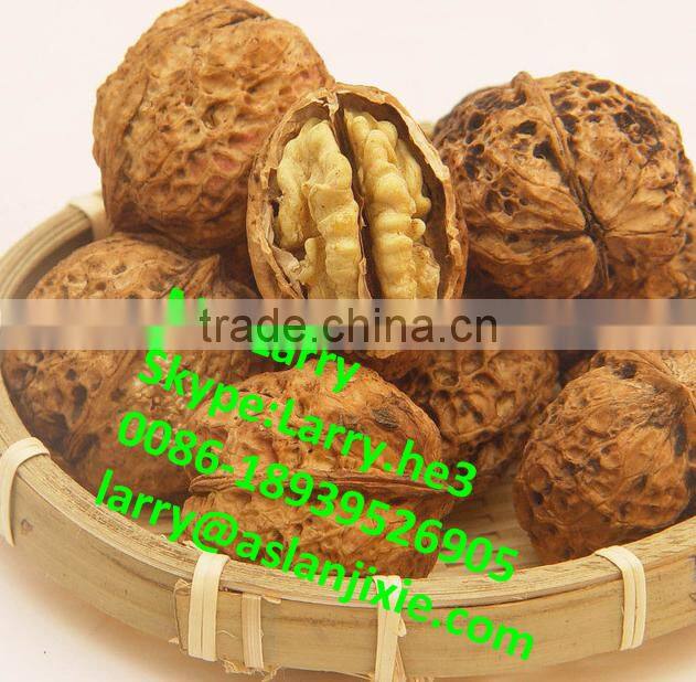 nut size sorting machine/walnut size grader/walnut size sorter