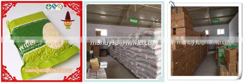 wholesale apricot seeds powder price