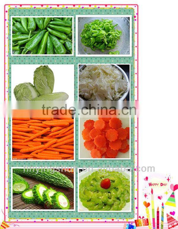 2014 new arrival multifunction electric automatic cube vegetable cutting machine