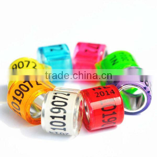 2015 Newest Dutch Pigeon Ring For Sale By YZ factory EXW price