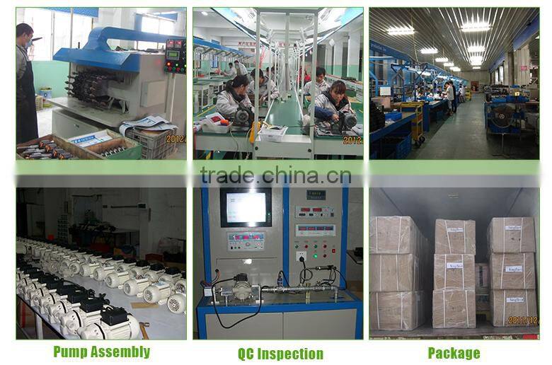 Singflo price solar water pump for agriculture/deep well solar water pump/mini solar water pump