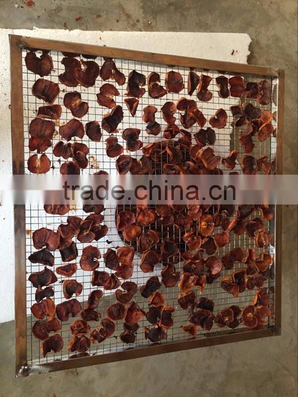 Hot sale galss window door beef, meat and vegetable, fruit drying oven, commercial fish drying machine