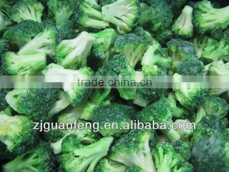 2017 High Quality Spiral Freezer Fish Freezing Equipment