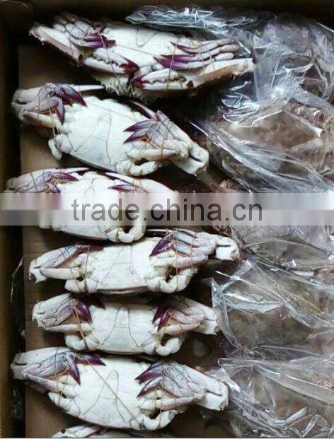 Blue Swimming Crab For Sale