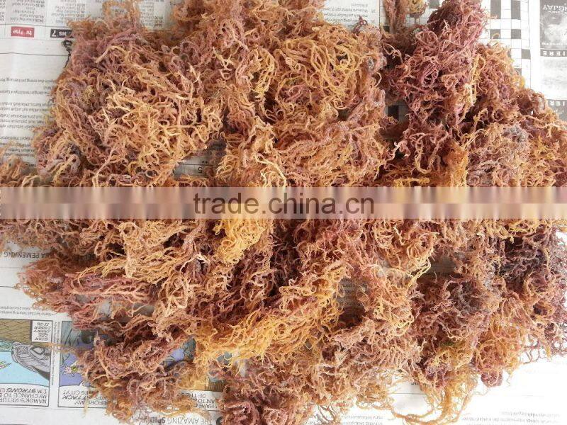 Pink Stock Garment with Big Quantity