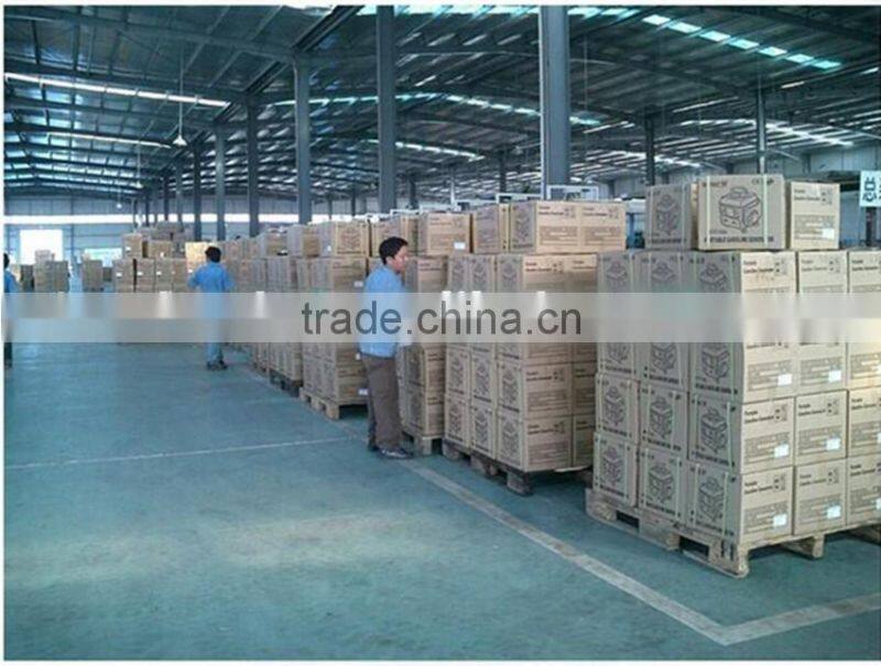 110v/220v, 650W 1 phase gasoline generator 1e45