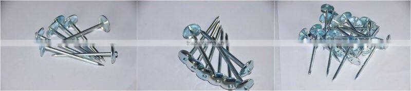 umbrella roofing nails 2.5