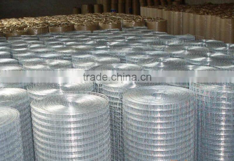 China supplier welded wire mesh