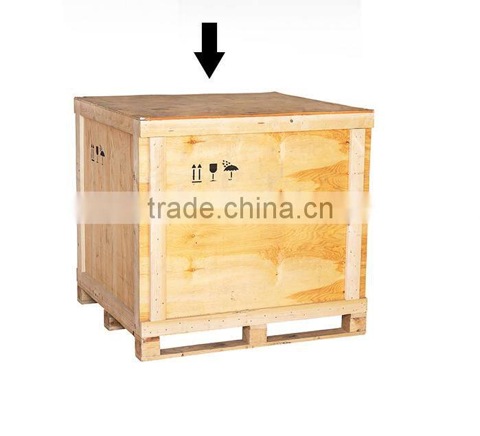 Sexy New Printing Lace Bikini Brazalian Swimwear