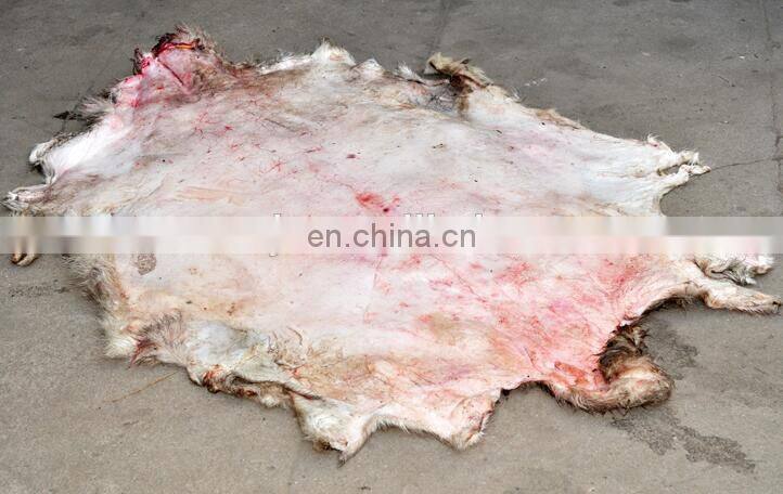 Cattle skin hair removal machine|cow skin dehair machine in United States