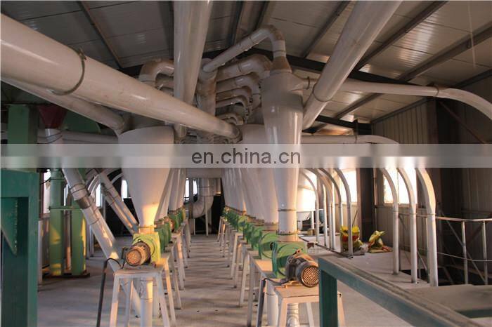 50T/Day maize flour corn grits mill grinding machine plant from China