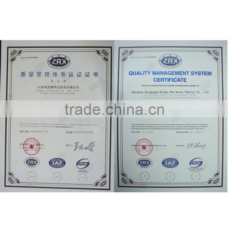 polyester felt for SBS APP asphalt felt