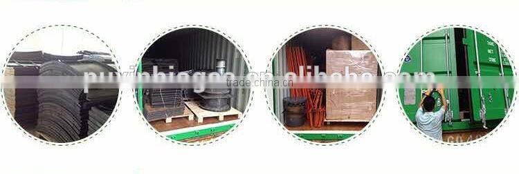 PUXIN biogas plant /machine /systems price for sewage water purifier