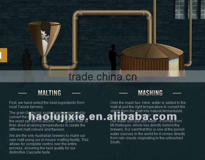 1000L beer brewing equipment