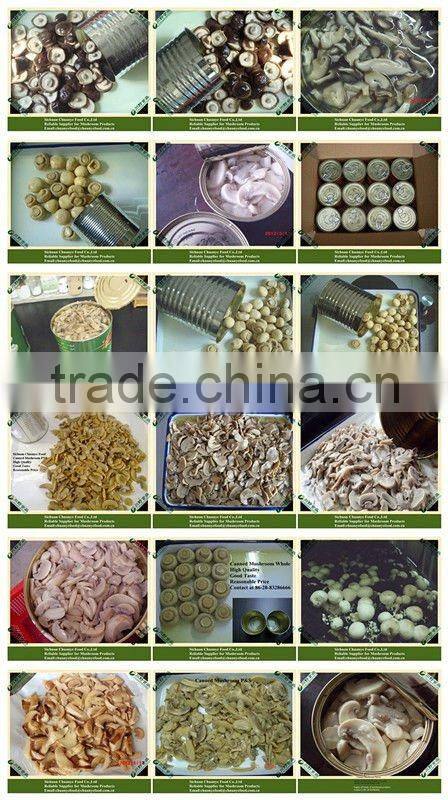 Canned Mushroom Champignon