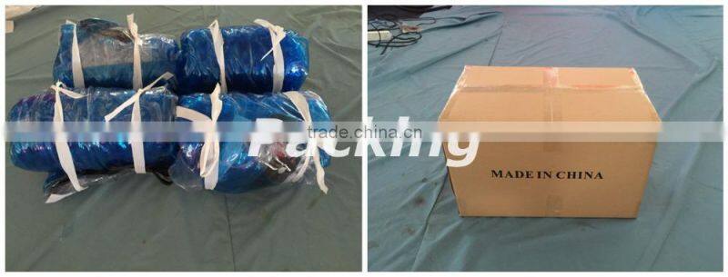 Inflatable sky balloon,inflatable pvc balloons F2029