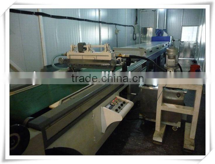 Best quality automatic UV Power Coating Line
