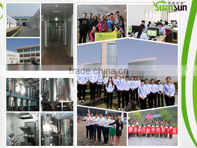 Top Quality From 11 Years experience manufacture ginseng powder