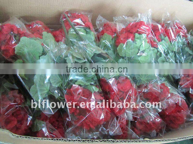 silk pink geranium blossom