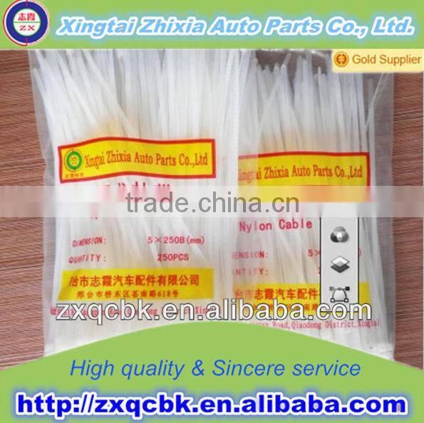 Mark nylon cable ties /PA66 plastic seal/PE plastic cable tie of high performance