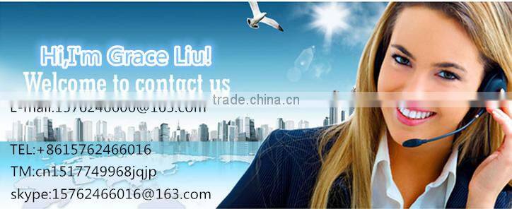 Newly designed aluminium frame glass curtain wall