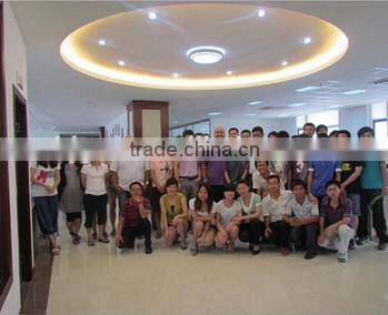 GTO Hotsale 600 /1200 MicroNeedle Derma Roller