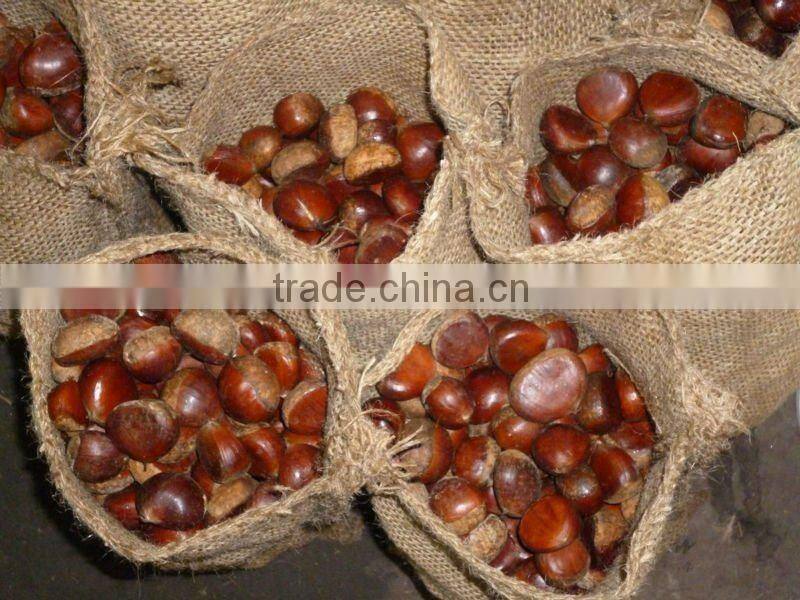 Chestnut /roasted chestnut/frozen chestnut