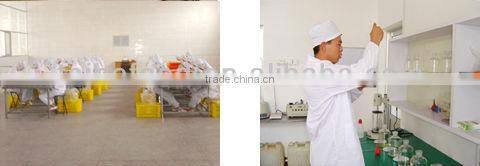 preserved/dried kiwifruit, dried kiwi slice-100ppm max,18-22% moisture