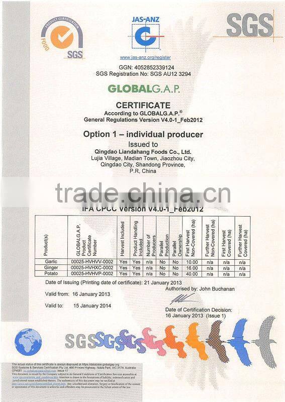 GAP Dried Ginger Aduwa in Season