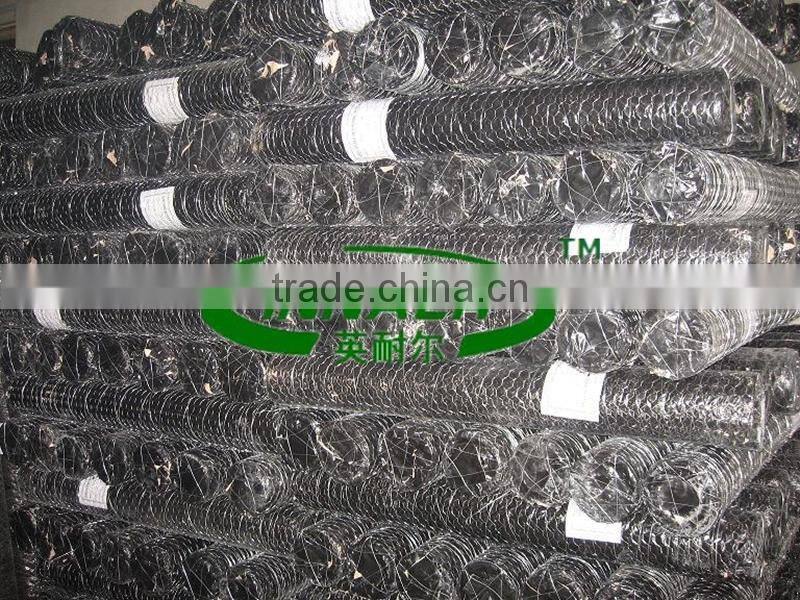 Chicken Wire Mesh for Free Range Chickens