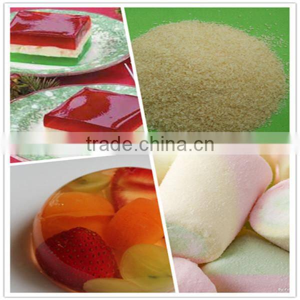 halal gelatin powder/edible gelatin powder for ice cream/gelatin powder for yogurt with competitive price