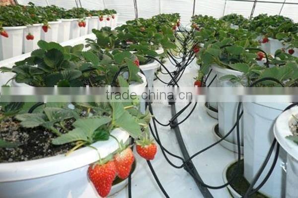 Greenhouse Drip Irrigation Curved Arrow Dripper